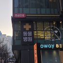 동하메디칼 | 반여동 동물병원 반려묘 이물질 섭취 사건 + 해바른 후기