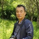 [박홍재 시인의 렌즈로 보는 풍경 그리고 길] (25) 불교에 심취하게 이끈 승보종찰 송광사를 가다 이미지