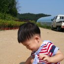 유준농장 Daum카페