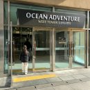 씻고놀개 | 아이와 천안 당일여행 | 초딩딸도 신난 오션어드벤처 솔직 후기