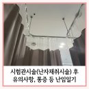 4층 샘약국 | 시험관 아기 시술의 첫 고비, 난자 채취 과정 및 통증 후기