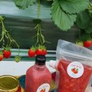 삼종농장 이미지