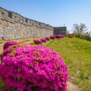 화서공원 이미지