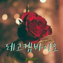 신양개발(주) 이미지