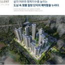 도마네거리 이미지