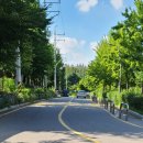 교통박사 행정사 이미지