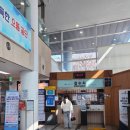 손기정문화체육센터 | 광진구 중곡문화체육센터 수영장 주말 자유수영 후기