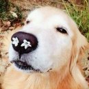 웰빙한우 이미지