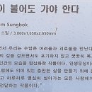 달성 대구현대미술제 이미지