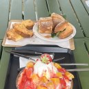 나드리노인복지관 | 화순 애견동반 보러카페🐶