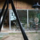 살랑 그루밍 이미지