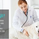 루원하이동물병원 이미지