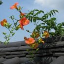 삼거리세차장 이미지