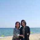 가족여행 Daum카페