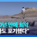 38도 육박하는 폭염속… 미국서 소 2000마리 집단폐사 이미지