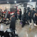 비트니스 이미지