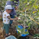 유가네농장 이미지