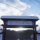 울릉도매니아