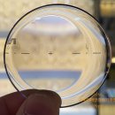 옵틱스안경 이미지