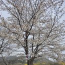 준스테이 이미지