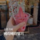 대우세탁소 | [강릉 카페 추천]베리베리딸기/딸기 디저트 전문_딸기소르베 후기