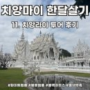 한달살기 11. 치앙라이원데이투어 (화이트템플 / 블루템플 / 롱넥부족 / 블랙하우스 하루에 부신 후기)