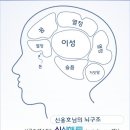 본구조 이미지