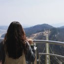 뼈대있는짬뽕 이미지