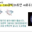 앤펄 Daum카페