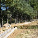 운학초등학교 이미지