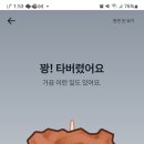 타꼬치