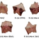 위라이프