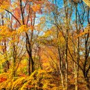 강천산입구(강산천가든 옆) | 2022년 11월 17일 출근 전 짧게 즐긴 마지막 단풍!! 전주 건지산 단풍 구경하기(최명희묘, 혼불문학공원...