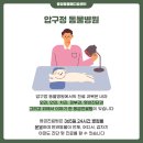 압구정동물의료센터 이미지