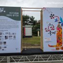 경북영주 풍기인삼축제 | [경북영주/축제] 2025 영주풍기인삼축제 다녀온 후기