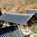 족보이야기