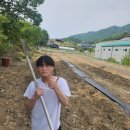 양주농협자재센터 이미지