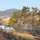 주치길 이미지