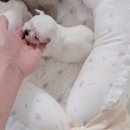 알곡켄넬 이미지