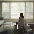 드림팰리스주