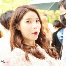 솔라 이미지