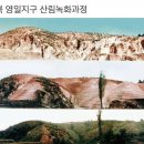 산에나무 이미지