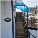 베일리애견풀빌라펜션 | 편안한 휴식이 있는 가평애견펜션 베일리 애견풀빌라후기입니다