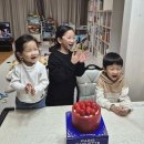 담이네 | [주간노트] 생쥐 거스 담이🐀