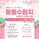 웅동마을 | 창원 웅동수원지 진해 벚꽃 실패한 이유 개방일정 총정리