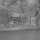 이황 주유소 이미지