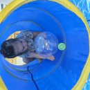 공굴리기 이미지