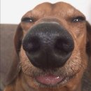 누군가 곁에 있다고(본강연) | [DO;에디터] 문명과 야만 사이의 한국-정체성에 대하여 강연 후기