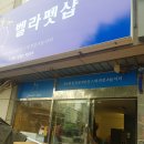 벨라 펫샵 이미지