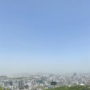 남산5리마을회관 | 서울시티투어버스 타이거 아이랑 가을 여행 추천 코스(+예약)